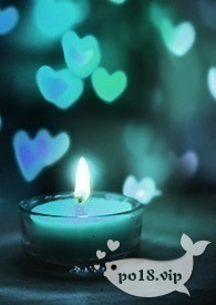 小说重生八零之俏媳当家