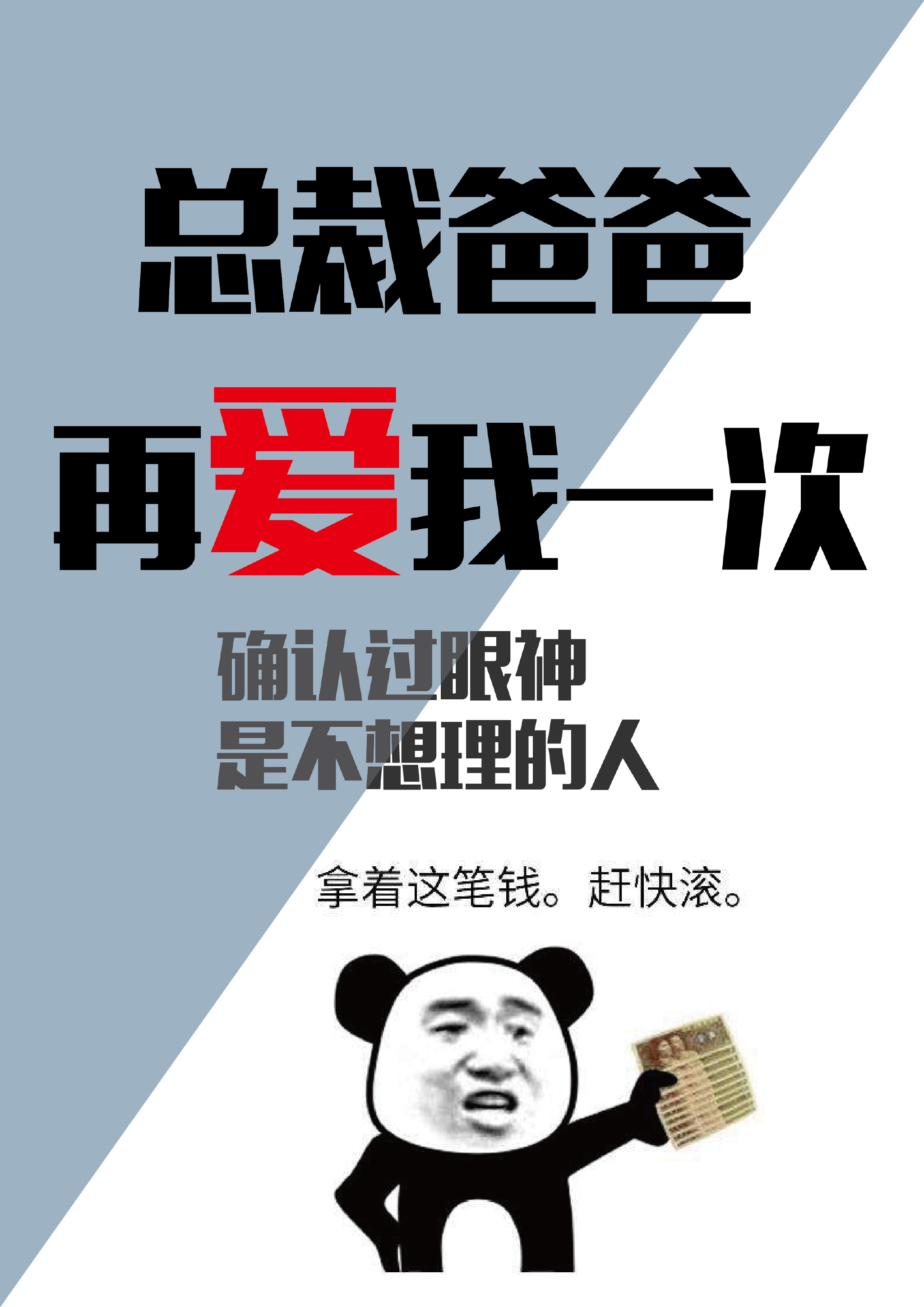 总裁再爱一次小说